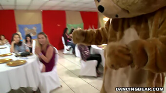 Join The Wild Party With The Legendary Dancing Bear In High Definition!