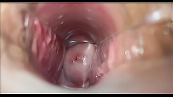 Vaginale Orgasme Close-Up Video.