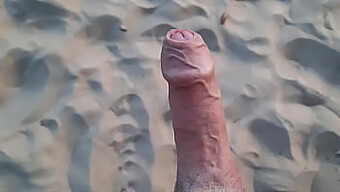 Amateur Public Sex With Shaved Penis In Outdoor Orgy