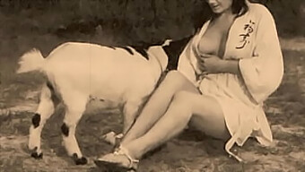 Natural Tits And A Panting Pussy In A Retro Outdoor Scene.